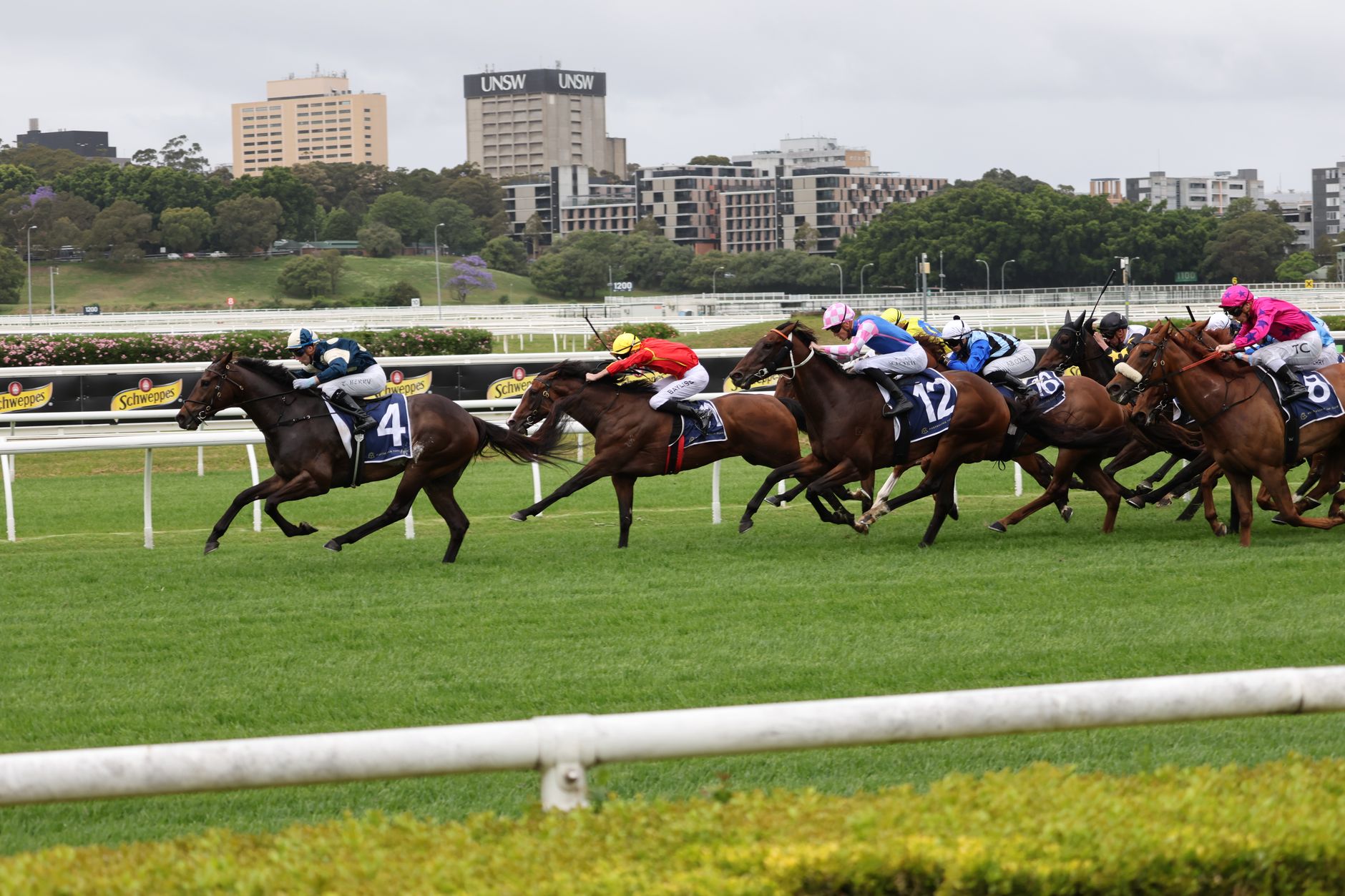 Jockey Club PBC 2026 forum