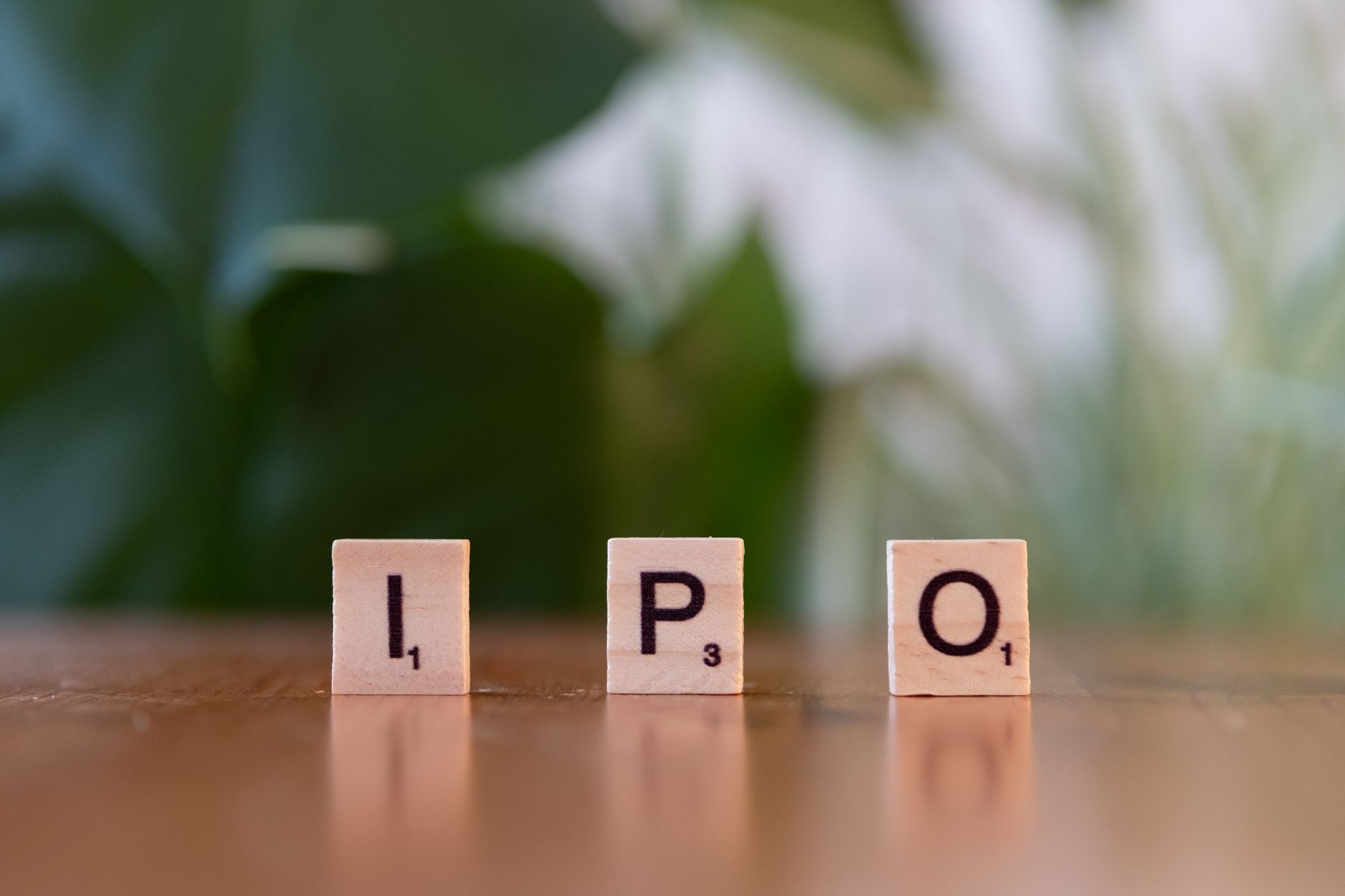 Cerebras IPO price